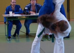 Gurtelprufung Juni 2016