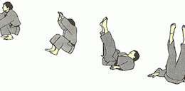 FAll ruckwarts Janner 2018